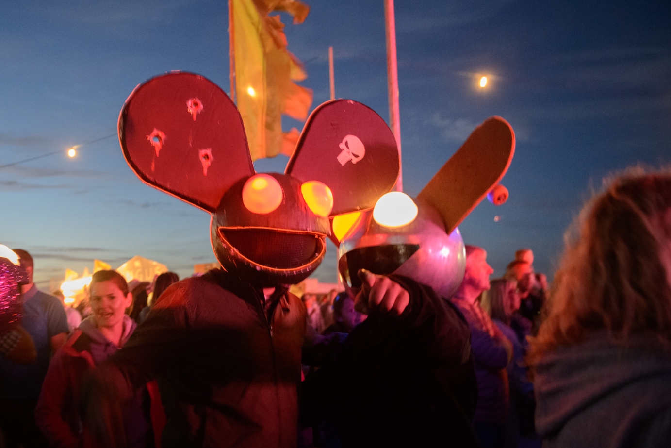 Live photography for Deadmau5 by Gingerhorticulture