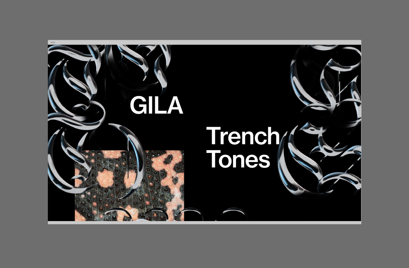 Website for GILA by Tristan Palmer