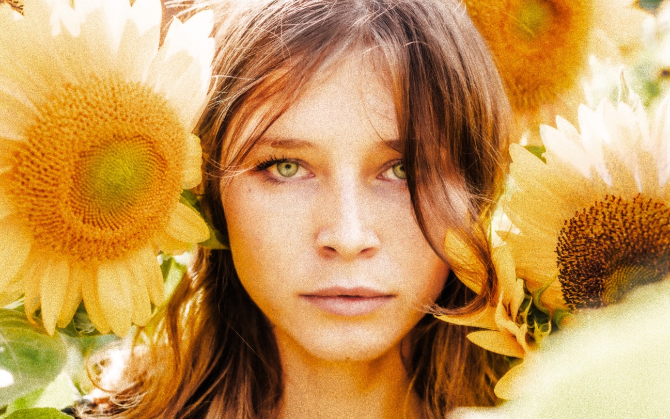 Photography for Sunflowers by Genevieve Stevenson