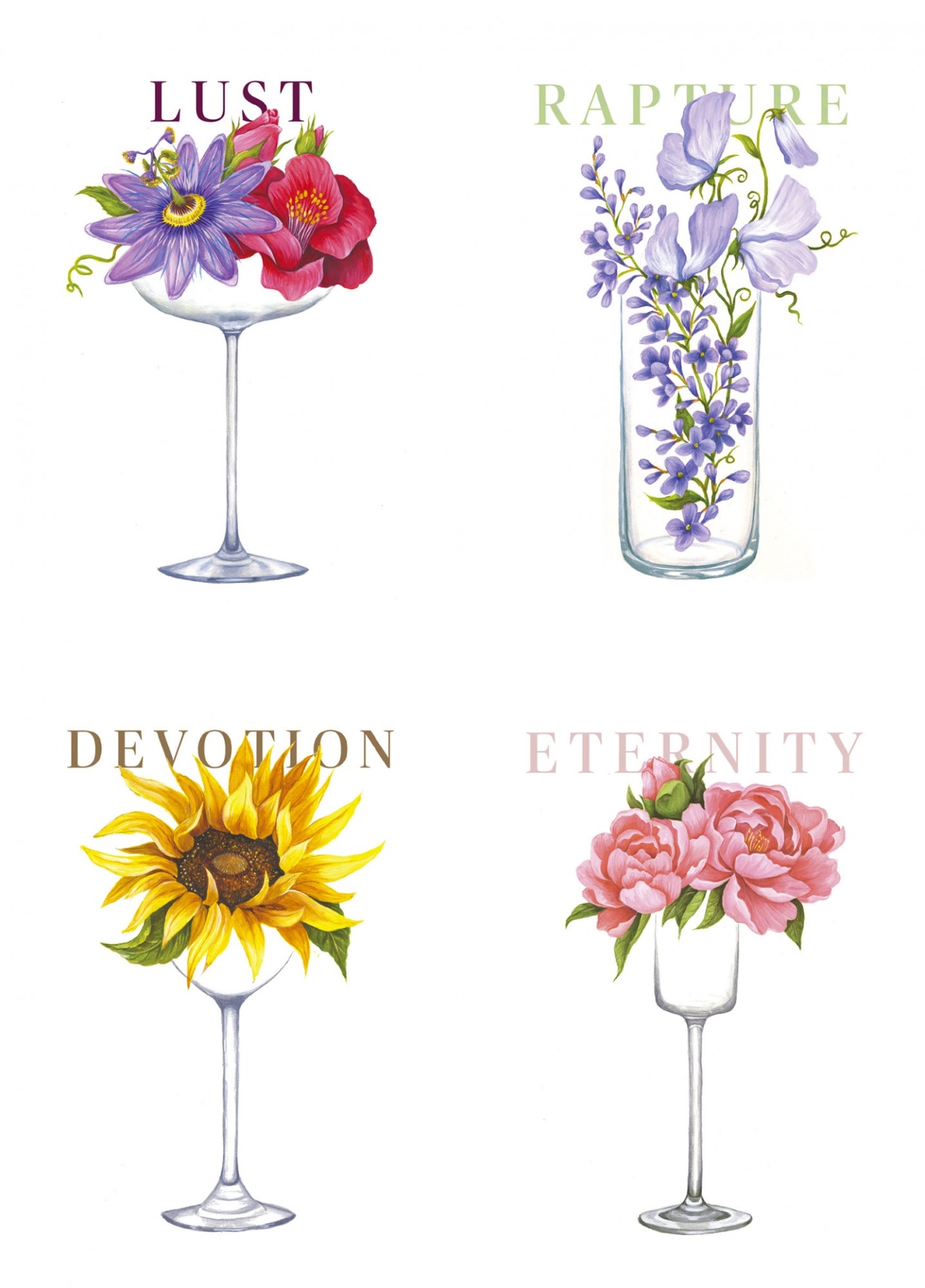 Cocktail flowers- Bar Menu illustrations