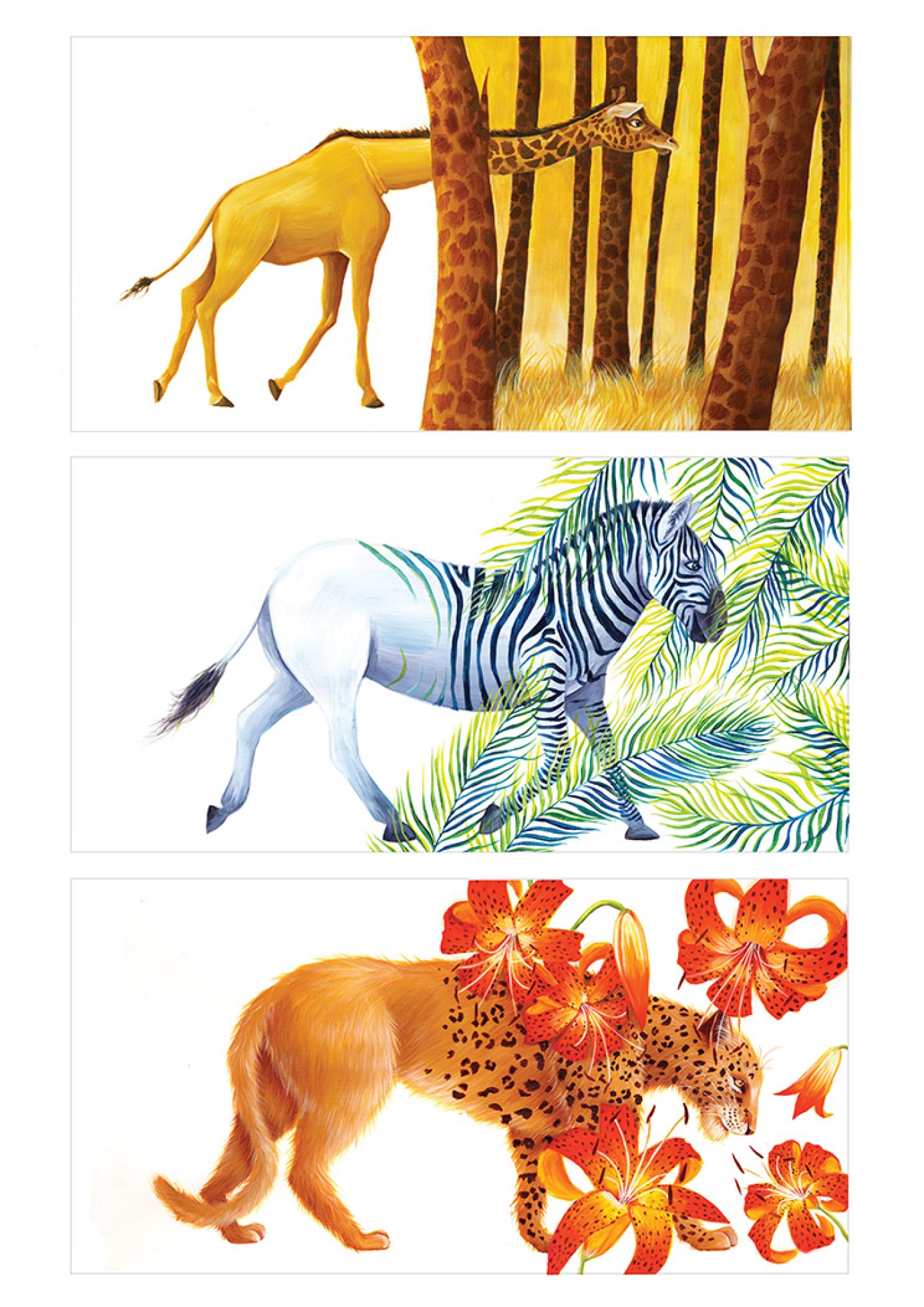 Children's Book Illustration Portfolio