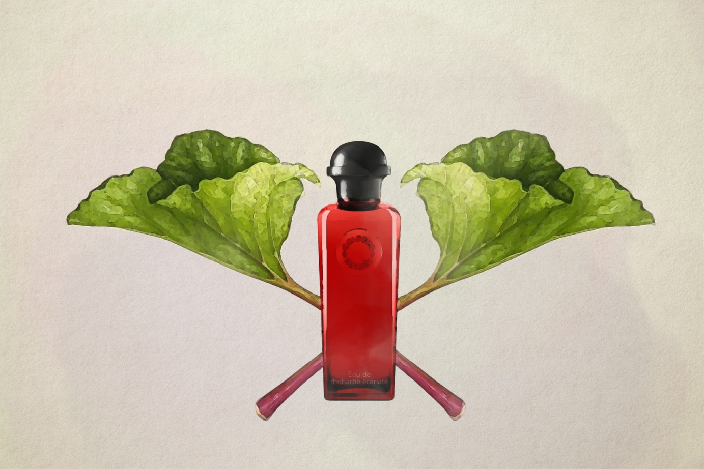 Olfactory illustrations for a magazine