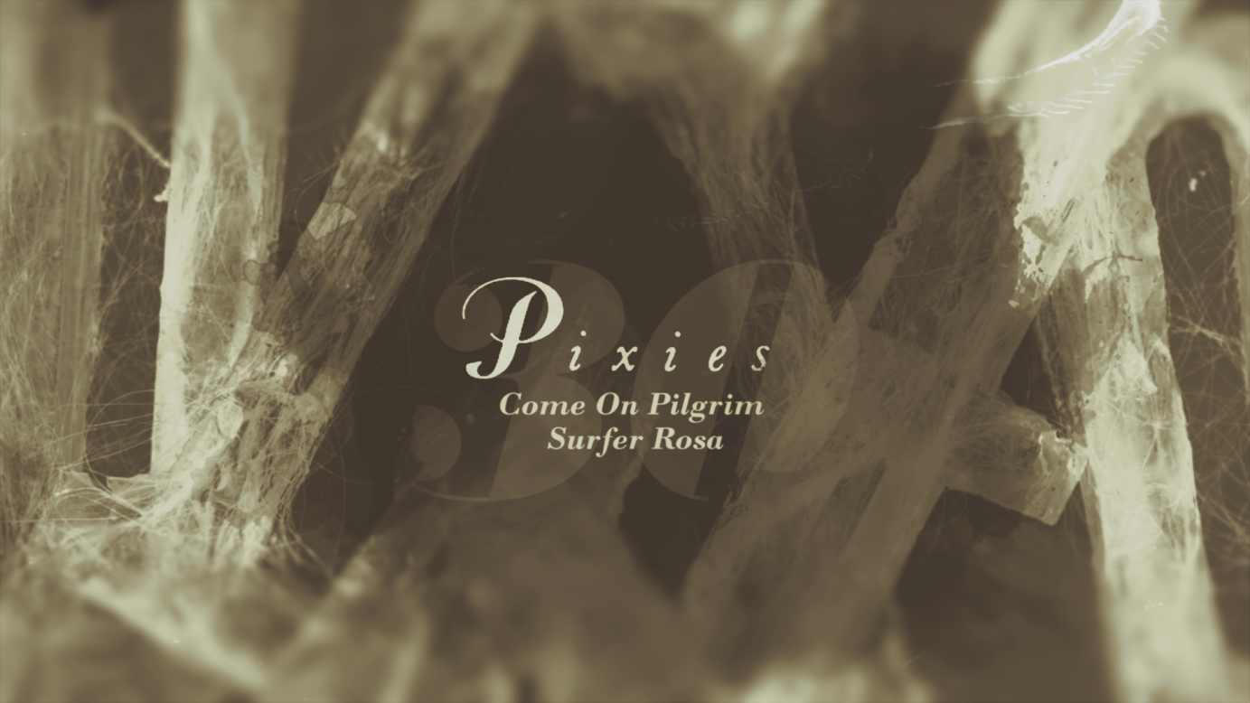 Animation for Pixies by Vidanoise