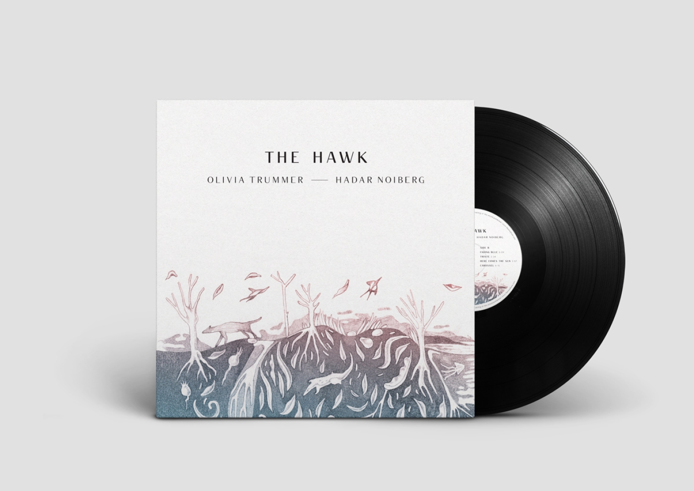 The Hawk Duo // Music project art direction and artwork