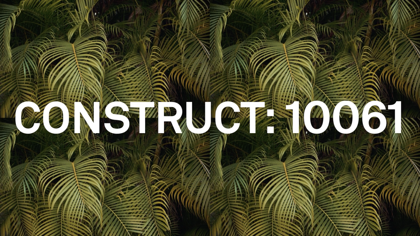 Timberland | Construct: 10061