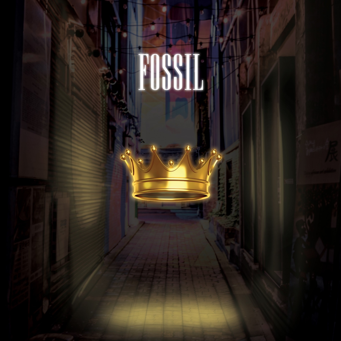 Fossil - Creative direction, Album Artwork, Poster and Merchandise designs