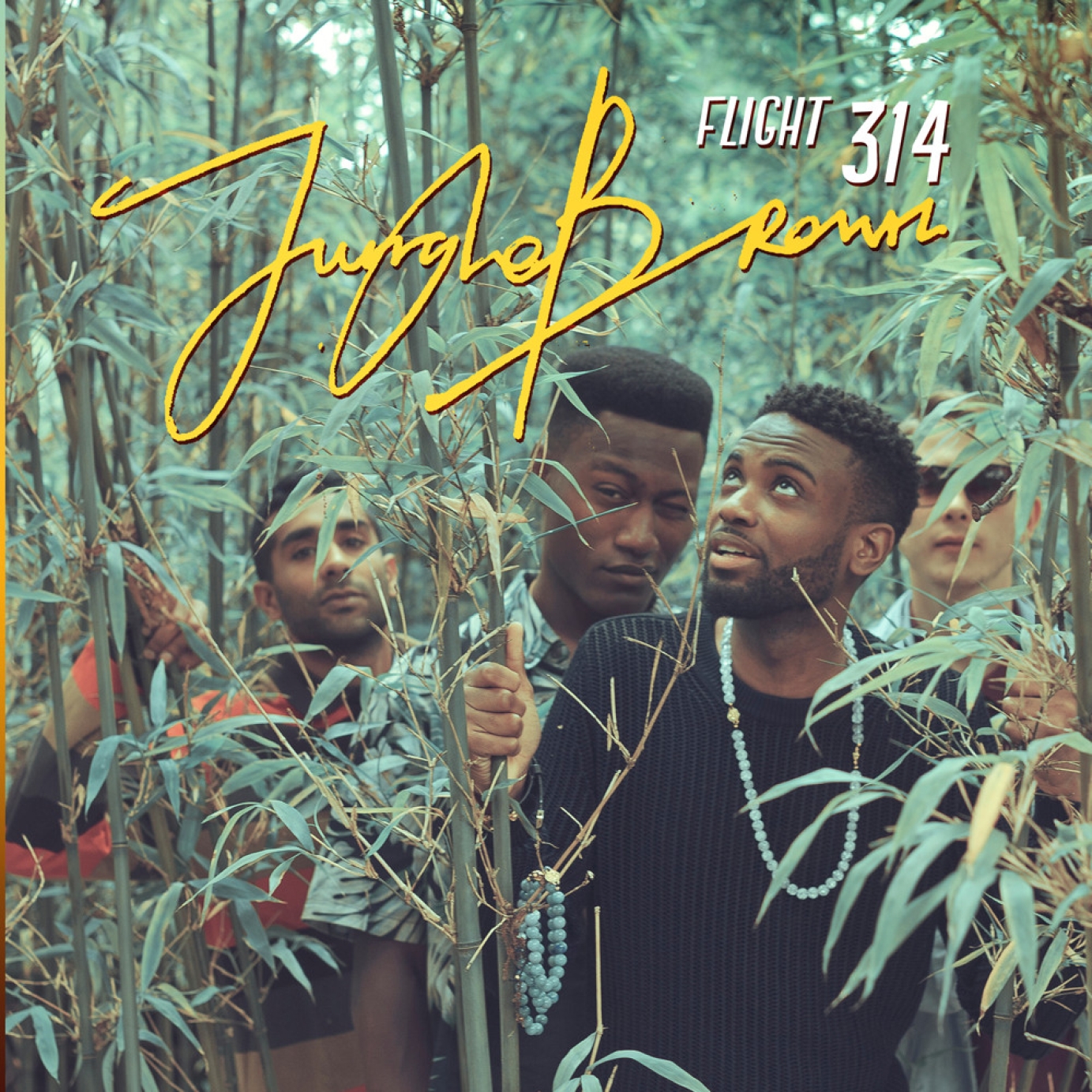 Jungle Brown - Flight 314 | Artwork