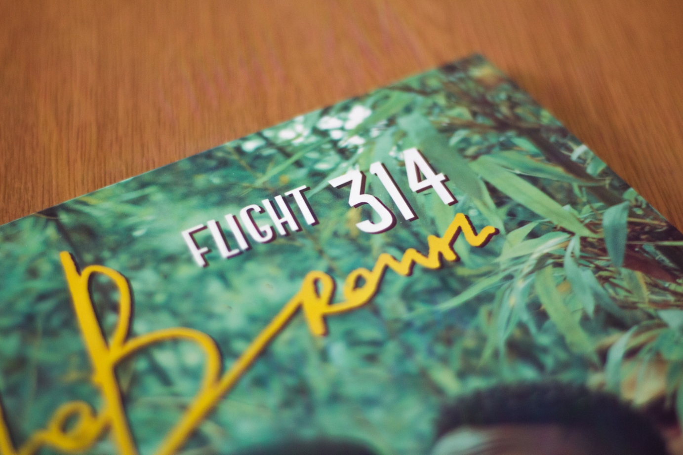 Jungle Brown - Flight 314 | Artwork