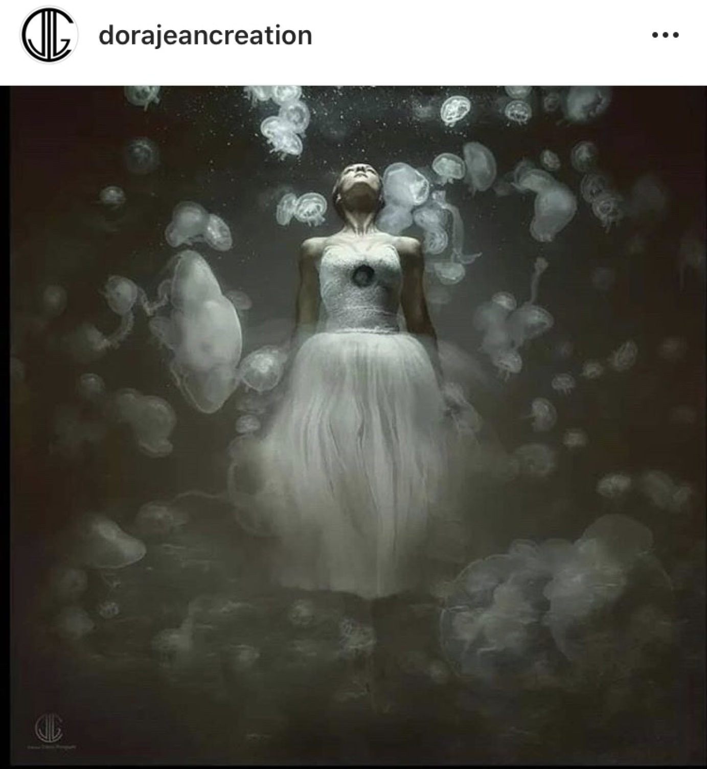 Artwork, Live photography, Photography for by Dora Jean Creation