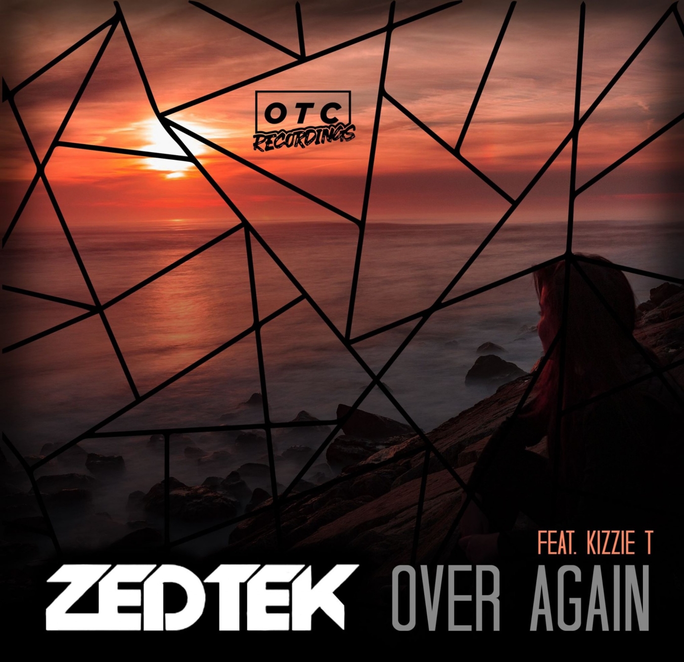 ZEDTEK - Over Again