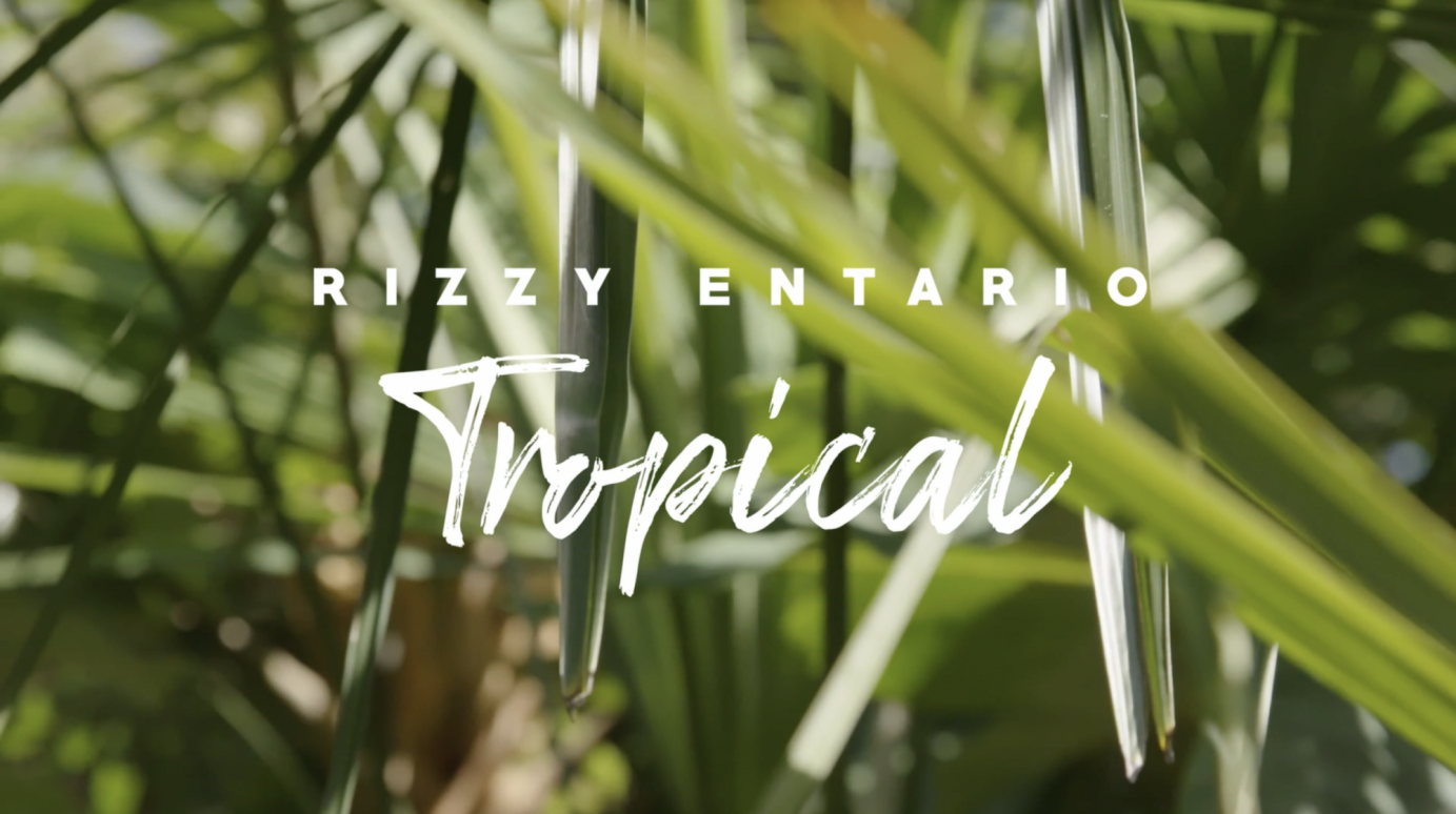 Tropical by Rizzy Entario