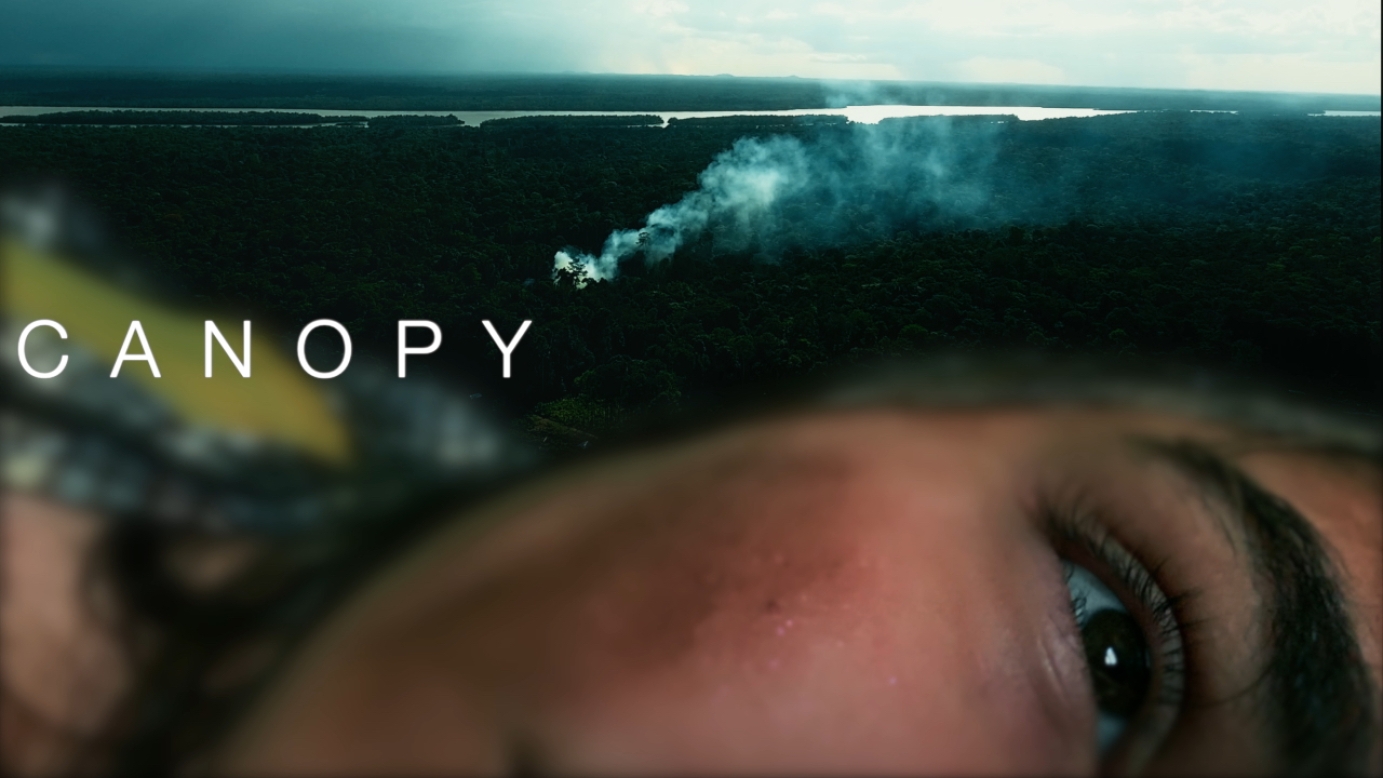 Canopy - the trailer