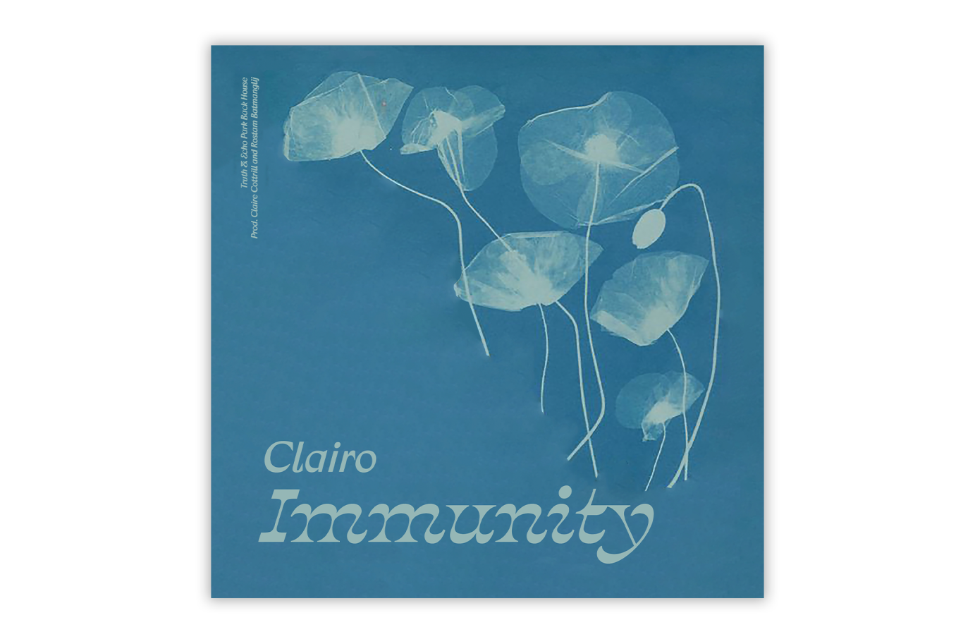 "Immunity" — Album Concept Design