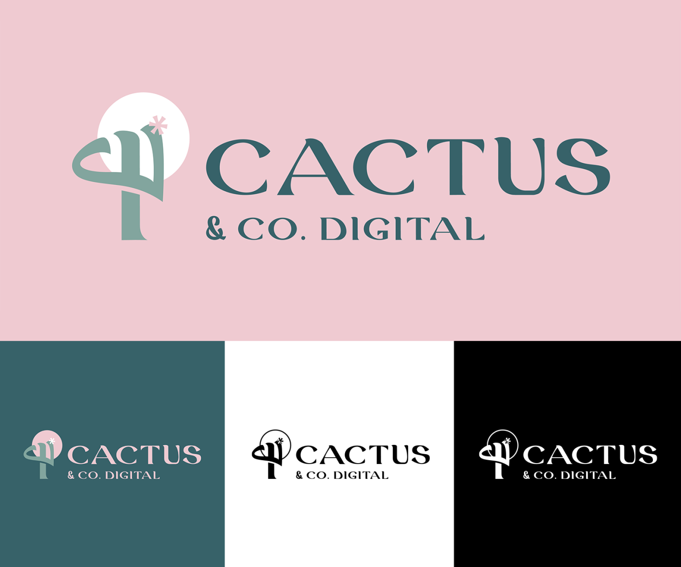 Cactus & Co. Digital Branding