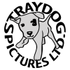 Profile picture for user StrayDog Pictures