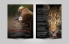 Brochure design - Fair Trade Safaris
