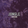 Jungle Influx remix artwork