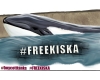 #FreeKiska Protest Art