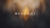 Preview image for the video "BVLGARI - Serpenti".