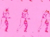Preview image for the video "Animation".