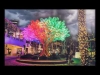 Preview image for the video "Lighted Tree Animated Photo".