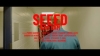 Preview image for the video "Seeed "Bam Bam" Album Documentary".