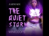 Preview image for the video "MiniMix Quiet Storm Motion Cover ".