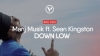 Preview image for the video "Manj Musik ft. Sean Kingston - Down Low | Music Video".