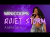 Preview image for the video "Minicoops - "Quiet Storm" (Lyric Video) A Mini Mix".