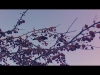 Preview image for the video ""Wind bird on the tree" (Music & Video)".