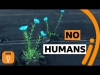 Preview image for the video "BBC Ideas: A World Without Humans".