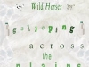 Preview image for the video "Wild Horses Galloping Across the Plains".
